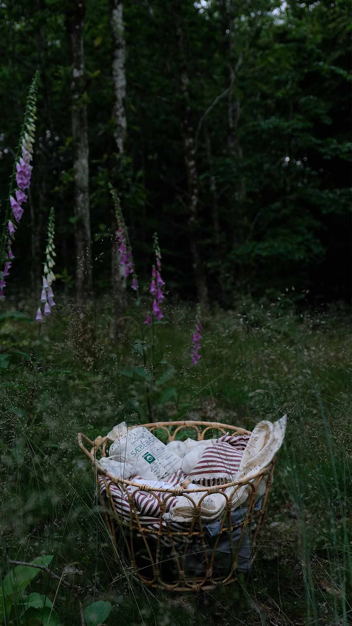  Care by nature sæbebær er et skånsomt og naturligt vaskemiddel af 100% rene naturlige bærskaller (vaskebær) der vasker tøjet rent. Her ses care by nature sæbebær i vasketøjskurv med tæpper og sengetøj på eng